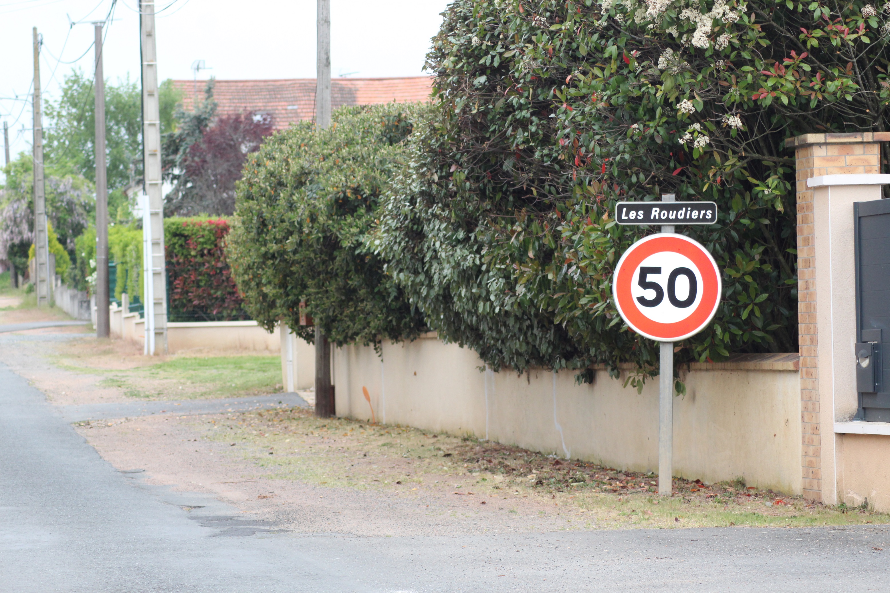 Les Roudiers Lavault chats empoisonn&eacute;s.JPG (1.79 MB)