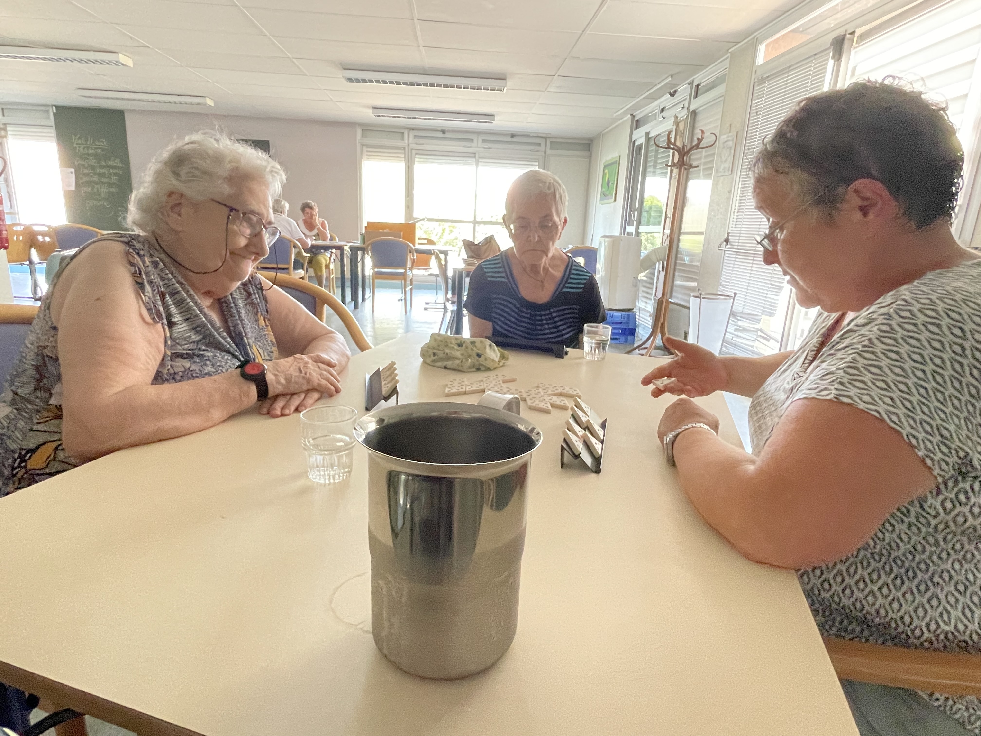 Canicule climatisation personnes &acirc;g&eacute;es seniors Montlu&ccedil;on (2).JPG (3.04 MB)