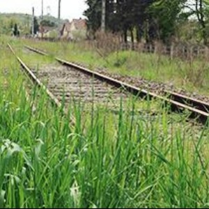Un opérateur privé de FRET demande le non-déclassement de la ligne ferroviaire Montluçon-Evaux