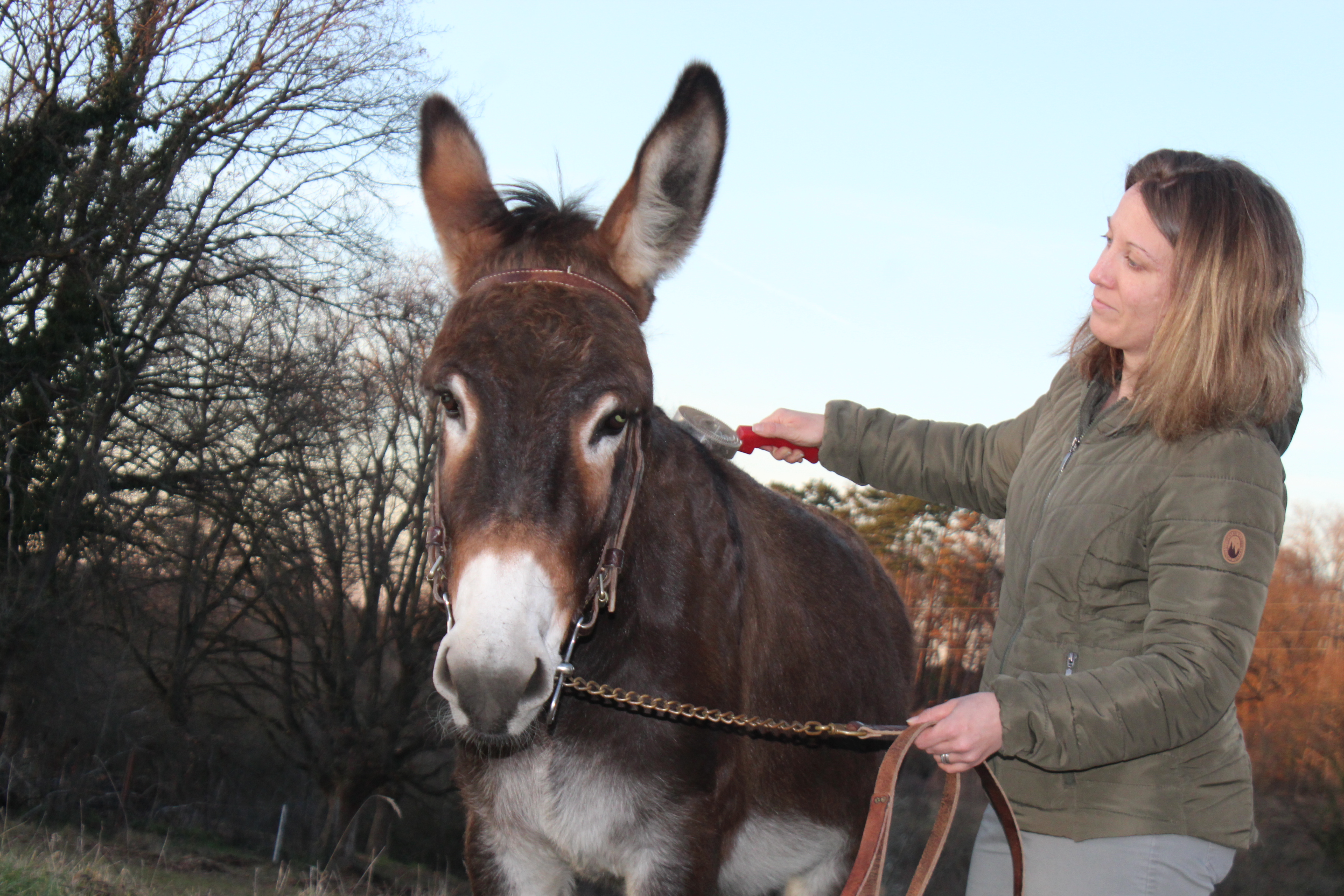 Iago de Braize ane salon de l'agriculture (2).JPG (5.76 MB)