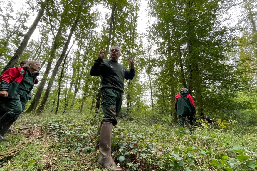 En forêt de Tronçais, des actions pour préserver la biodiversité