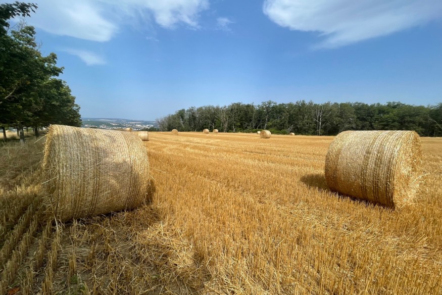"Ça commence à faire beaucoup" : les agriculteurs de l'Allier inquiets des conséquences de la sécheresse